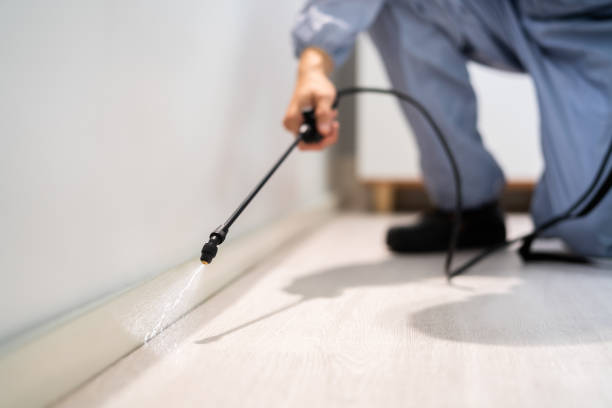 Licensed Fumigation Services service in Montgomery County County, IL - Nex Pest Control