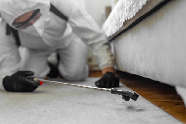 Professional Fumigation Services technician working in Montgomery County County, IL